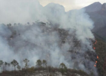 Reportan fuera de control incendio en Santiago, Nuevo León