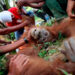 Desgarrador: orangután fue violado por varios hombres a cambio de dinero