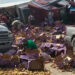 Pobladores rapiñan tomate tras la volcadura de tráiler que lo transportaba en Coahuila